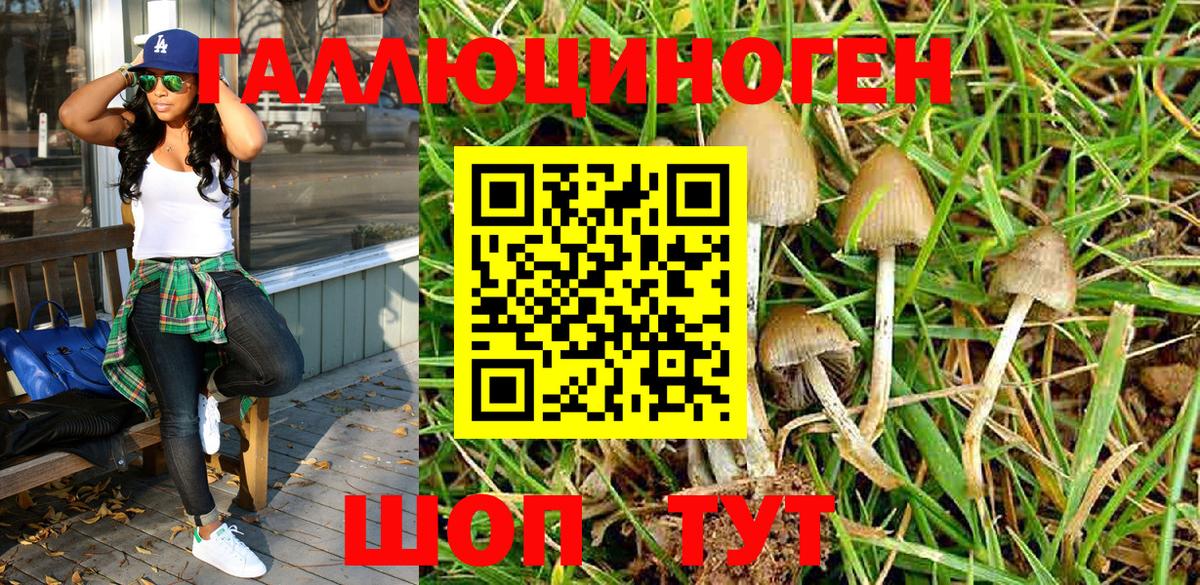 Псилоцибиновые грибы Magic Shrooms Звенигород